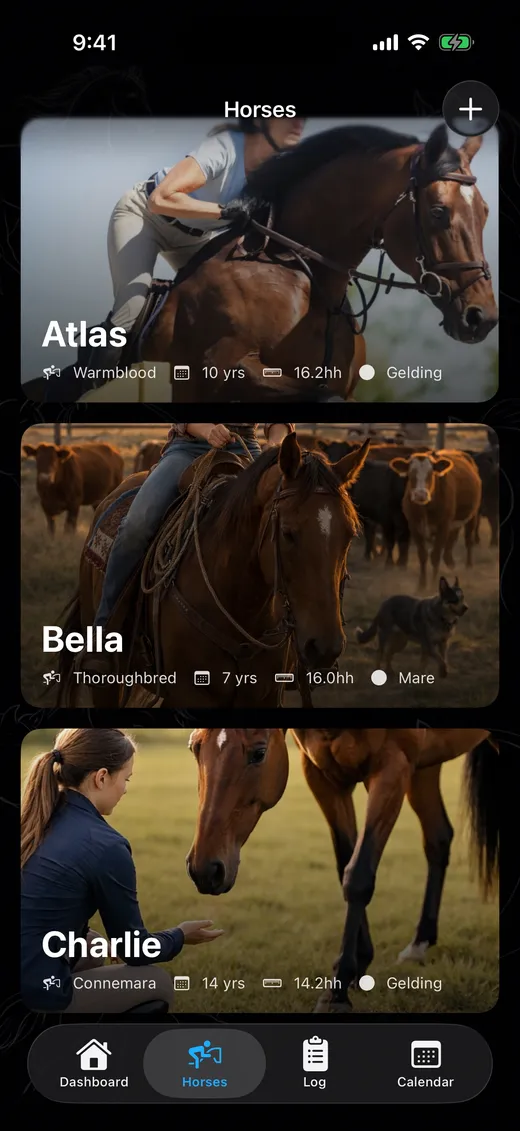 Equitem app horses list with photo cards